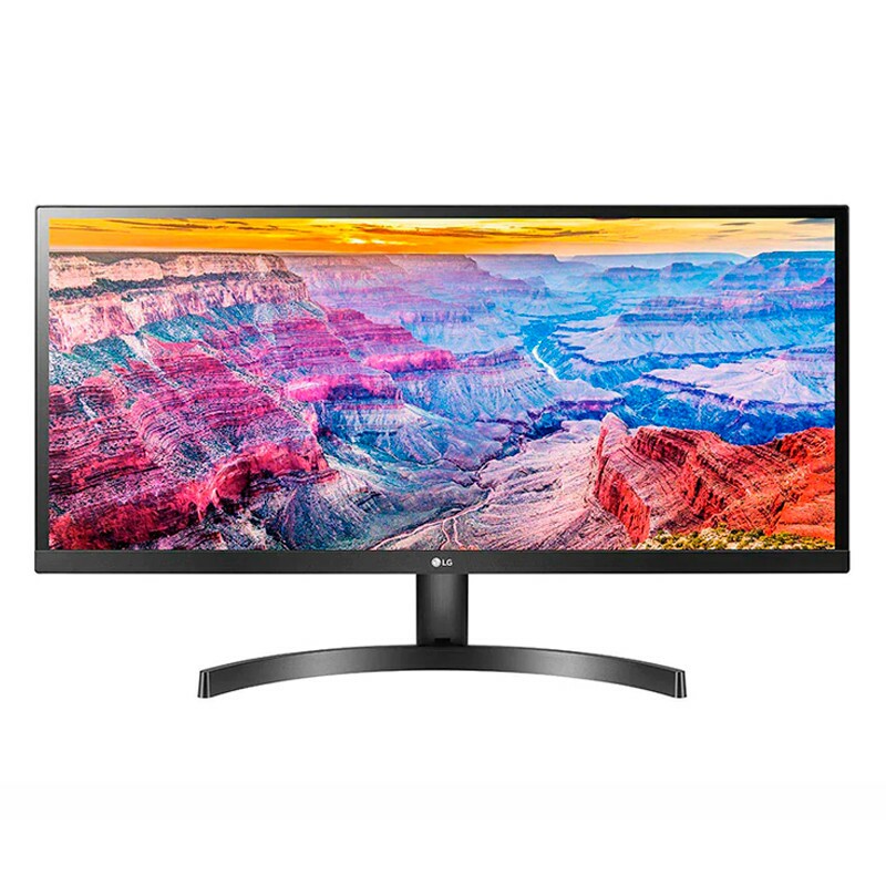 MONITOR LG 29" LED FULL HD 29WL500 PT