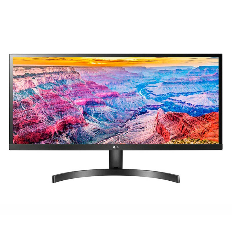 MONITOR LG 29" LED FULL HD 29WL500 PT  